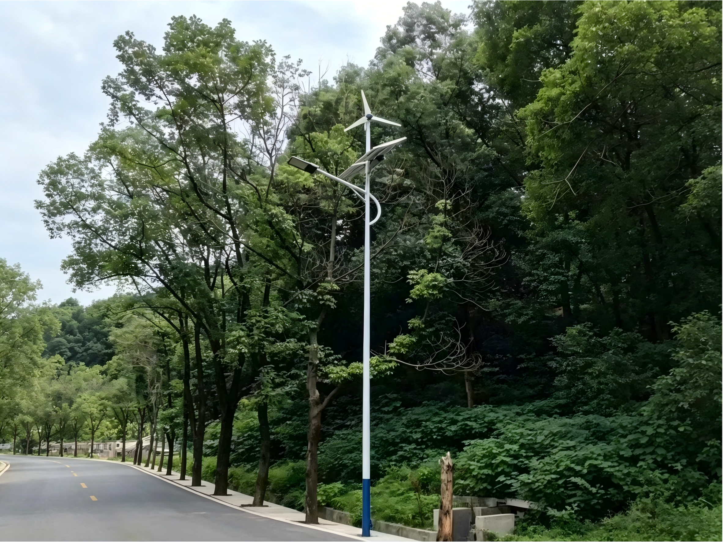 Wind-Solar Hybrid Street Light