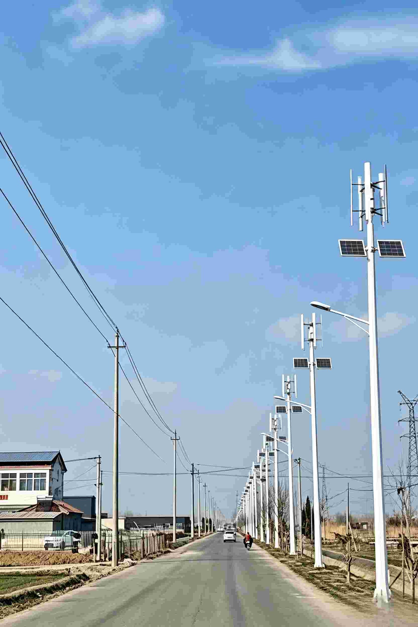 Coastal Wind-Solar Street Light